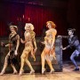 http://www.milkbarmag.com/2020/01/28/cats-the-musical/