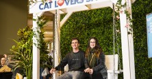http://www.milkbarmag.com/2022/06/01/melbourne-cat-lovers-show-returns-this-june/
