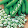 https://milkbarmag.com/2010/11/28/in-season-broadbeans/