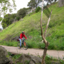 https://milkbarmag.com/2011/12/15/the-merri-creek-bike-trail/