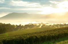 https://milkbarmag.com/2012/04/23/yarray-valley-food-and-wine-fest/
