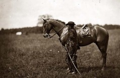 https://milkbarmag.com/2012/04/19/waler-horses-at-collingwood-childrens-farm/