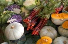 https://milkbarmag.com/2012/06/17/slow-food-farmers-market/