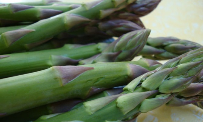 https://milkbarmag.com/2010/10/06/asparagus-a-go-go-2/