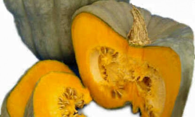https://milkbarmag.com/2011/05/28/in-season-pumpkin/