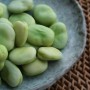 https://milkbarmag.com/2011/11/08/in-season-spring-produce/