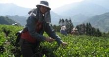 https://milkbarmag.com/2011/10/19/the-art-of-tea/