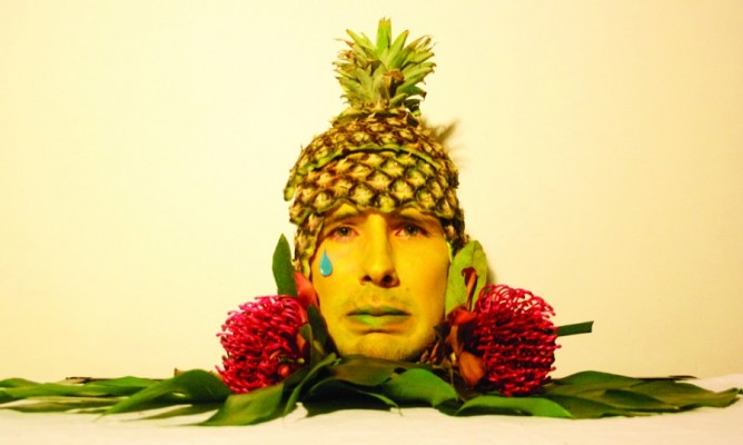 https://milkbarmag.com/2012/01/25/the-pineapple-sorrows/
