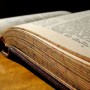 https://milkbarmag.com/2012/01/31/literature-events-february-edition/