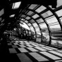 https://milkbarmag.com/2012/05/25/photographer-of-the-week-chris-zissiadis/
