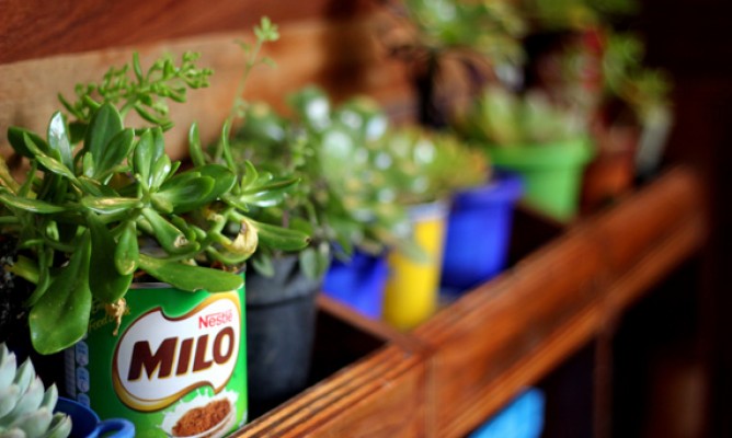 https://milkbarmag.com/2012/07/30/satchmos-den/