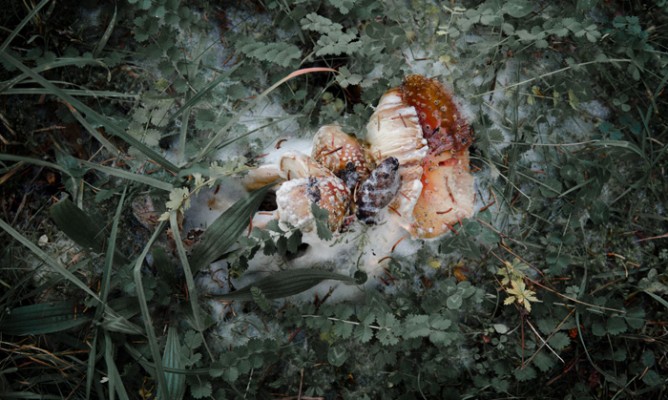 https://milkbarmag.com/2013/01/25/photographer-of-the-week-alexander-je-bradley/