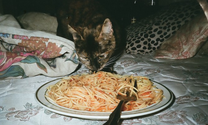 https://milkbarmag.com/2013/09/20/photographer-of-the-week-eleanor-bleier/