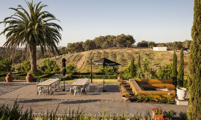 https://milkbarmag.com/2014/05/14/olivigna-winery/