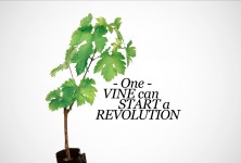 https://milkbarmag.com/2015/05/14/21st-century-vino/