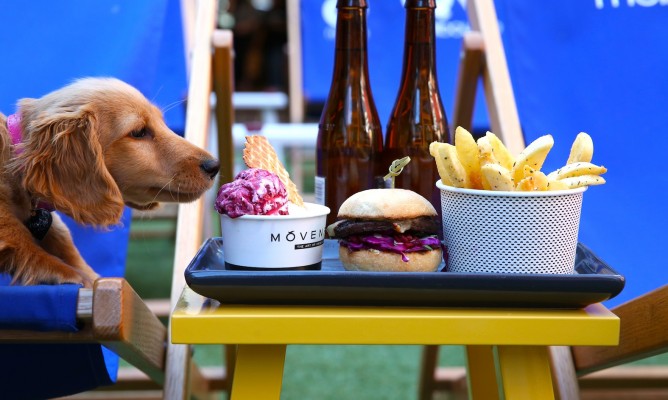 https://milkbarmag.com/2015/11/26/gus-berger-and-the-qv-outdoor-cinema/