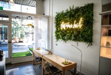 https://milkbarmag.com/2019/08/22/bat-your-lash-melbournes-dog-friendly-eco-salon/