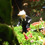 IMG_4512